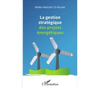 La gestion stratégique des projets énergétiques - Walter Amedzro St-Hilaire - L'harmattan - broché - Etude