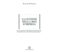 La gestione della crisi d'impresa. Cause, effetti e strategie di turnaround realizzate con soluzioni equity-based