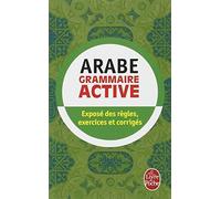 La Grammaire Active De L'Arabe Litteral (Ldp Met.Li.Seul) by Michel Neyreneuf (2003-11-15)