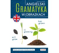 La grammaire anglaise en images
