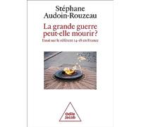 La Grande Guerre peut-elle mourir?: Essai sur le référent 14-18 en France