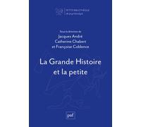La Grande Histoire et la petite - Jacques André - Puf - broché - Essai