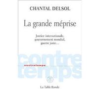 La grande méprise: Justice internationale, gouvernement mondial, guerre juste...
