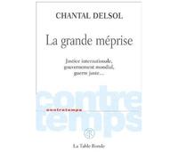 La Grande Méprise - Justice Internationale, Gouvernement Mondial, Guerre Juste,,,