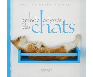 La grande odyssée des chats