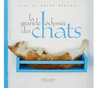 La grande odyssée des chats - Bruno Morandi - Hozhoni Eds - relié - Beau livre