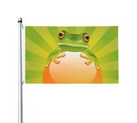 La grenouille verte est assise sur des s dorés pour l'extérieur 3x5 Drapeau double face, drapeaux de bannière pour la décoration de jardin de chambre pour l'extérieur, fournitures de fête, décoration