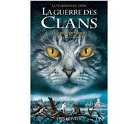 La guerre des Clans, Cycle VII - Tome 1 Etoiles perdues