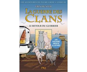 La guerre des clans - les aventures de Plumes Grise Tome 3 : le retour du guerrier