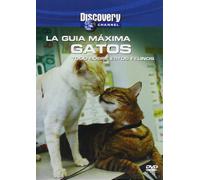 La Guía Máxima. Gatos [Import]