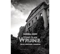 La Haute-Silésie en ruines. Palais détruits....