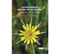 La inteligencia natural de las plantas. Un mundo por descubrir