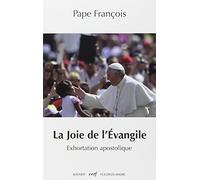 La joie de l’évangile, Exhortation apostolique