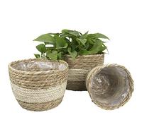 La Jolíe Muse Panier à Plantes d'herbe de Mer Seagrass pour Un Usage Interne et Externe, Couvercle de Pots de Fleurs, Contenants de Plantes, Beige, 26cm+22cm+16cm (3 Paquets)
