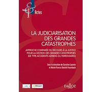 La judiciarisation des grandes catastrophes - Approche comparée du recours à la justice pour la gestion des grandes catastrophes ( d