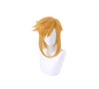 La légende de Zelda souffle de la lien sauvage Link-Golden queue de queue de cheval Cosplay Cosplay Costume Costume résistant à la chaleur Perruques de cheveux synthétiques résistantes à la chaleur