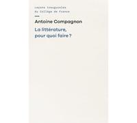La littérature, pour quoi faire ?