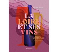 La Loire et ses vins Alexis Jenni (Préface), Emmanuel Brouard (Auteur)
