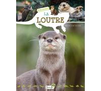 La loutre - Virginie Jobe-Truffer - Grenouille - cartonné - Document jeunesse
