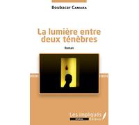 La lumière entre deux ténèbres. Roman