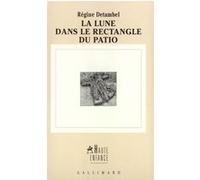 La Lune dans le rectangle du patio Régine Detambel (Auteur)