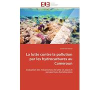La lutte contre la pollution par les hydrocarbures au Cameroun: évaluation des mécanismes de lutte en place et perspectives d'amélioration