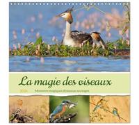 La magie des oiseaux Calendrier mural carré 2026 30 x 60 cm (ouvert)) Calendrier double avec une page pour vos prises de notes