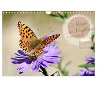 LA MAGIE DES PAPILLONS 2025 (Calendrier mural 2025 DIN A4 vertical), CALVENDO calendrier mensuel: Des images enchanteurs des papillons dans son environnement naturel dans un jardin allemand.