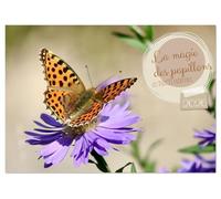 LA MAGIE DES PAPILLONS (Calendrier de bureau 2026 DIN A5 vertical), CALVENDO calendrier mensuel: Des images féériques de papillons évoluant dans leur habitat naturel, au coeur d'un jardin allemand.