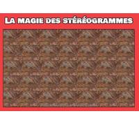 La magie des stéréogrammes: Images en relief