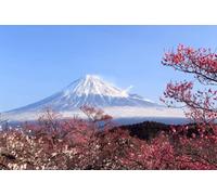 La Magnifique Vue du Mont Fuji - Puzzle Adulte 2000 Pièces Décoration De La Maison Cadeau De Fête d'anniversaire Jouet pour Hommes, Femmes Et Seniors