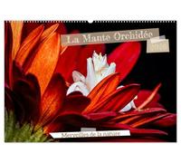 La Mante Orchidée (Calendrier mural 2026 DIN A2 vertical), CALVENDO calendrier mensuel: La Mante Orchidée, un chef-d'oeuvre naturel, fascine par sa ... imitent à la perfection les fleurs exotiques.