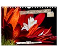 La Mante Orchidée (Calendrier mural 2027 DIN A4 vertical), CALVENDO calendrier mensuel: La Mante Orchidée, un chef-d'oeuvre naturel, fascine par sa ... imitent à la perfection les fleurs exotiques.