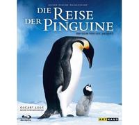 Die Reise der Pinguine [Blu-ray] [Import allemand]