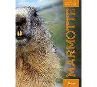 La marmotte