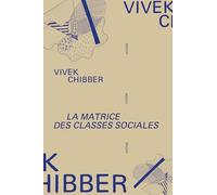 La Matrice des classes sociales: La théorie sociale après le « tournant culturel