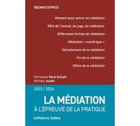 La médiation 2025/2026. A l'épreuve de la pratique - La médiation 2025/2026. A l'épreuve de la pratique Christiane Féral-Schuhl (Auteur), Claire Courtois (Auteur)