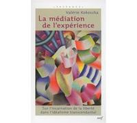 La médiation de l'expérience Valérie Kokoszka (Auteur)