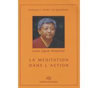 La méditation dans l'action