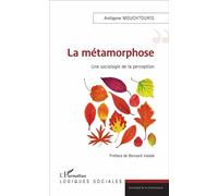 La métamorphose Une sociologie de la perception - Antigone Mouchtouris - L'harmattan - broché - Essai