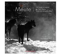 La Meute - Les Loups Échappés Du Parc Alpha Suite À La Tempête Alex