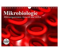 La microbiologie. Micro-organismes, génétique et cellules, Version française (Calendrier mural 2026 DIN A4 portrait), Calendrier CALVENDO mensuel