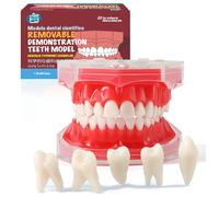 LA MIERE Dents de démonstration dentaire, modèle de typodont, étude standard, mode dentaire avec toutes les dents amovibles, matériau en gel de silice souple et pliable