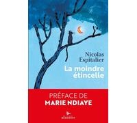 La moindre étincelle