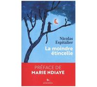 La Moindre Étincelle