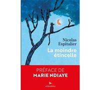 La moindre étincelle Nicolas Espitalier (Auteur)