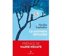 La moindre étincelle - Nicolas Espitalier - Herodios - broché - Roman