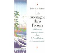 La Montagne dans l'océan : Méditation et compassion dans le bouddhisme et le christianisme