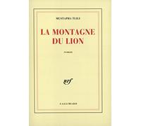 La Montagne du Lion