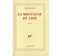 La Montagne du Lion
